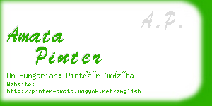 amata pinter business card